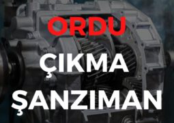 Ordu Çıkma Şanzıman